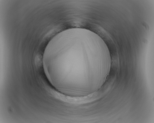 X0000114020043200910161807