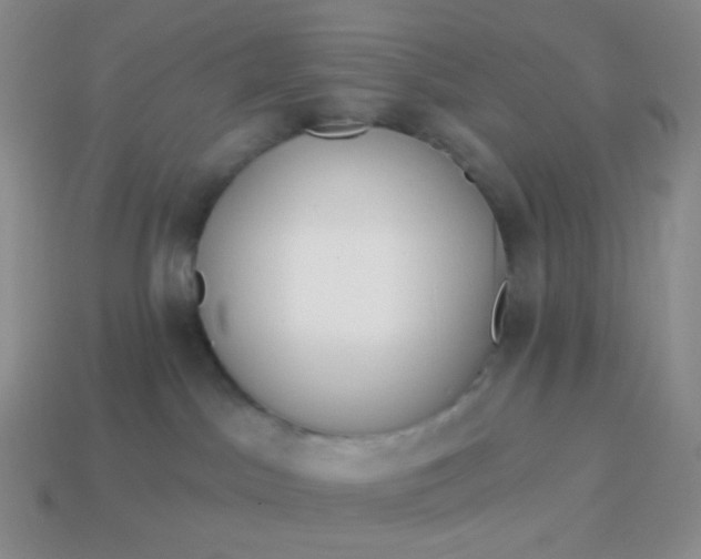 X0000114020045200910161807