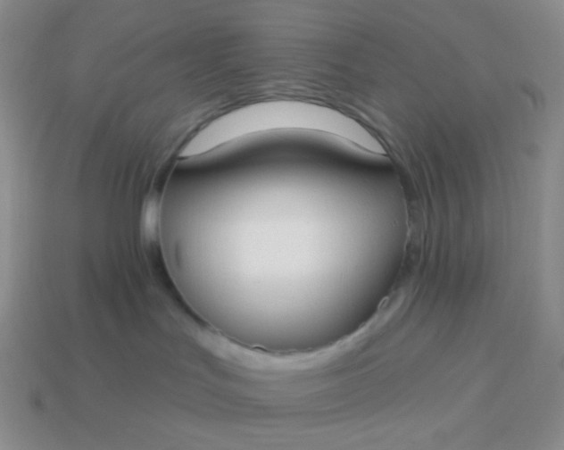 X0000114020047200910161807