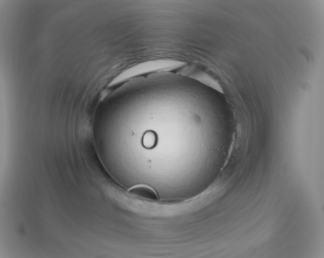 X0000114020048200910161807