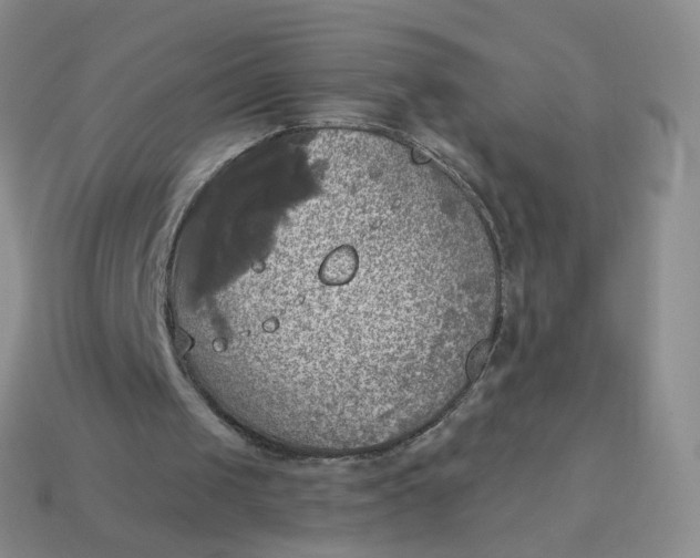 X0000114020049200910161806