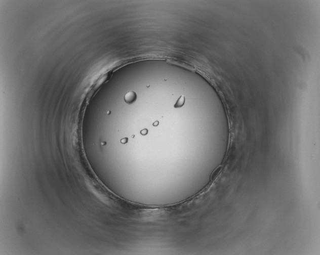 X0000114020050200910161806