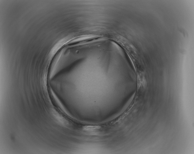 X0000114020051200910161806