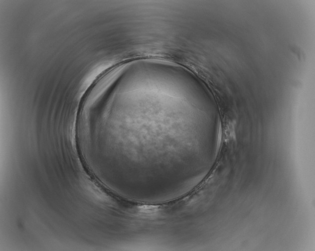 X0000114020052200910161806