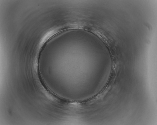 X0000114020053200910161806