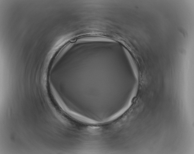 X0000114020055200910161806