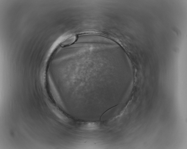 X0000114020056200910161806