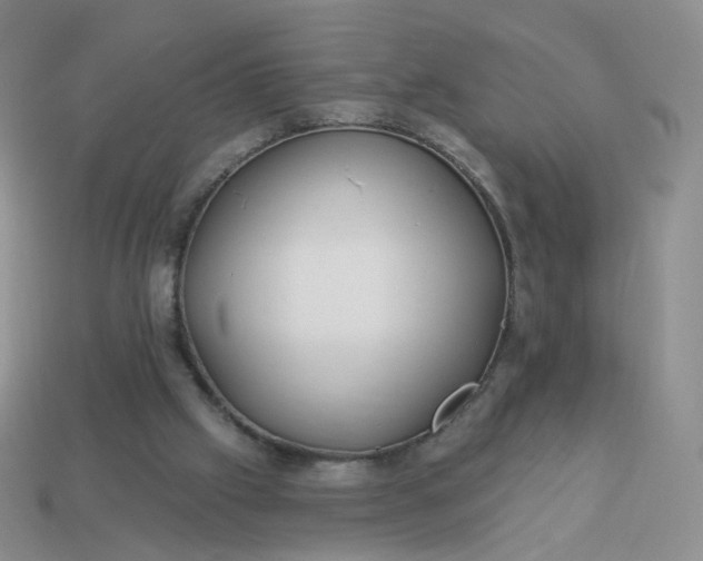 X0000114020057200910161806