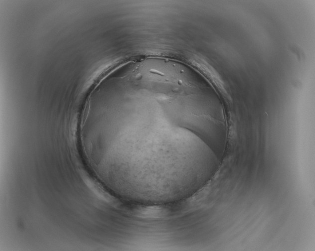 X0000114020058200910161806