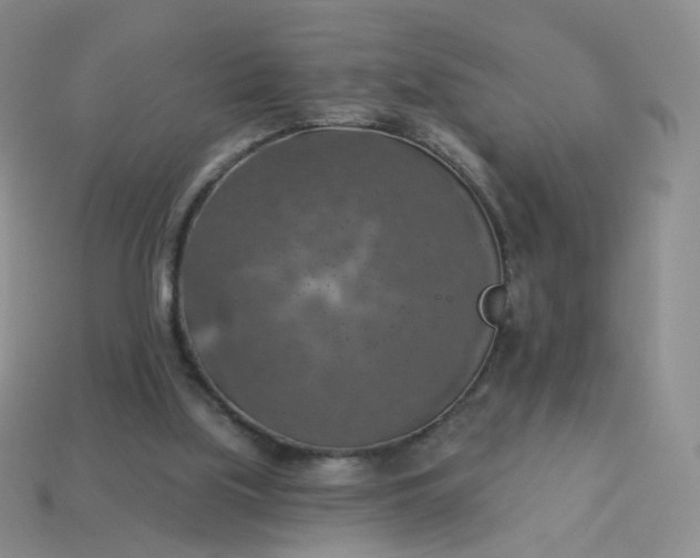 X0000114020059200910161806