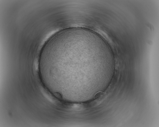 X0000114020060200910161806