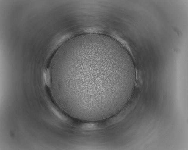 X0000114020061200910161806