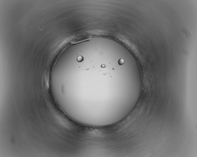 X0000114020062200910161806