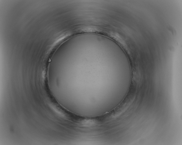 X0000114020063200910161806