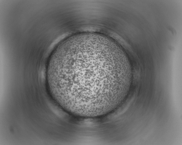 X0000114020064200910161806