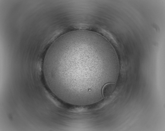 X0000114020065200910161806