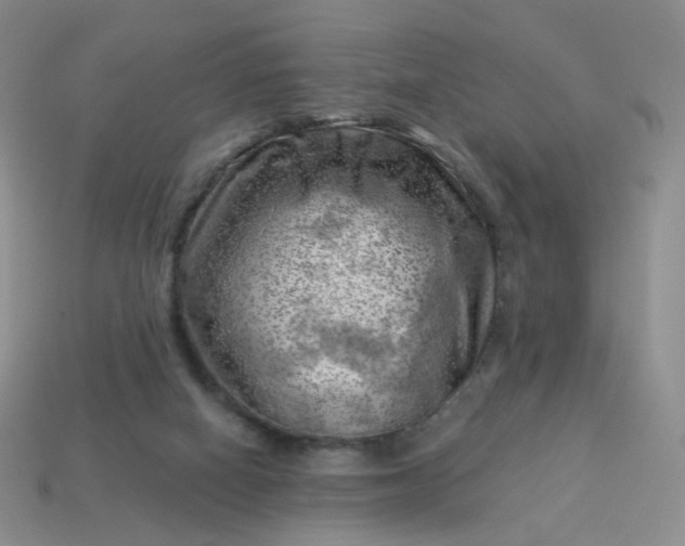 X0000114020066200910161806