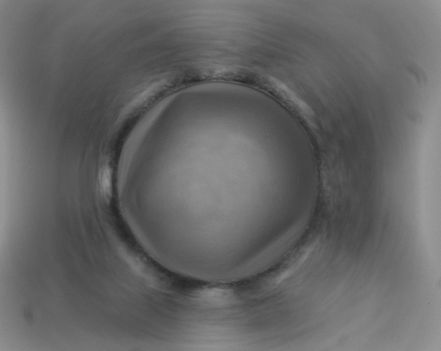 X0000114020067200910161806