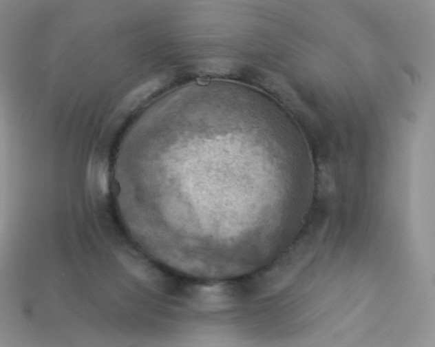 X0000114020068200910161806