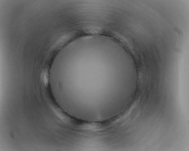 X0000114020069200910161806