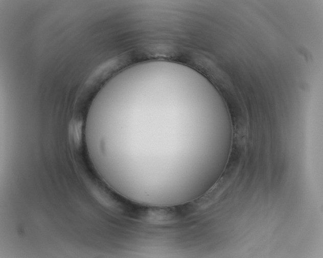 X0000114020070200910161806