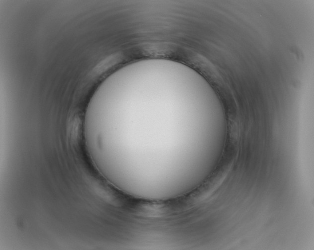 X0000114020071200910161806