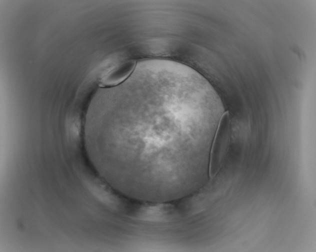 X0000114020072200910161806