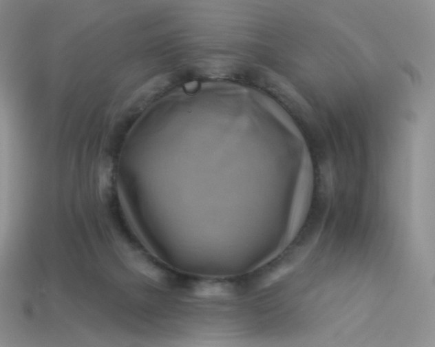 X0000114020073200910161806