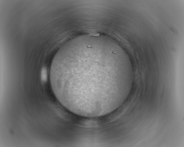 X0000114020075200910161806