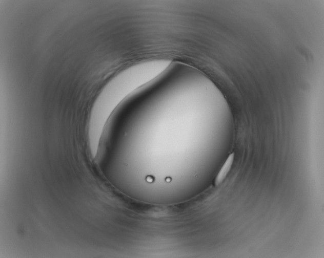 X0000114020076200910161806