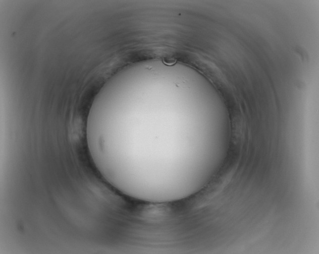 X0000114020077200910161806