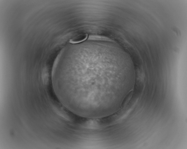 X0000114020080200910161807