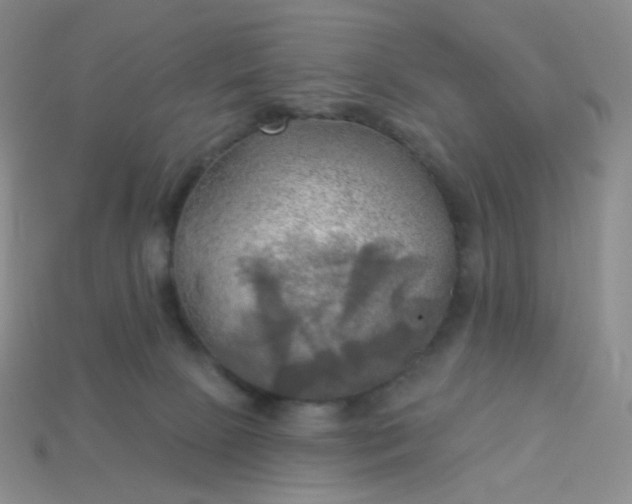 X0000114020081200910161807