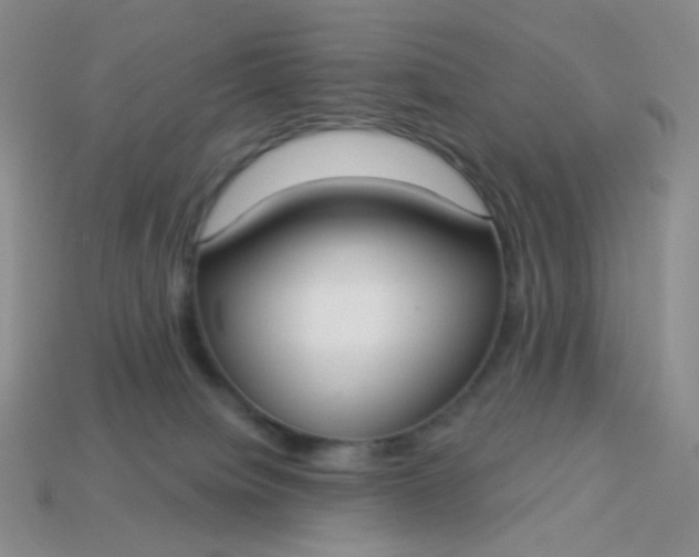 X0000114020084200910161807