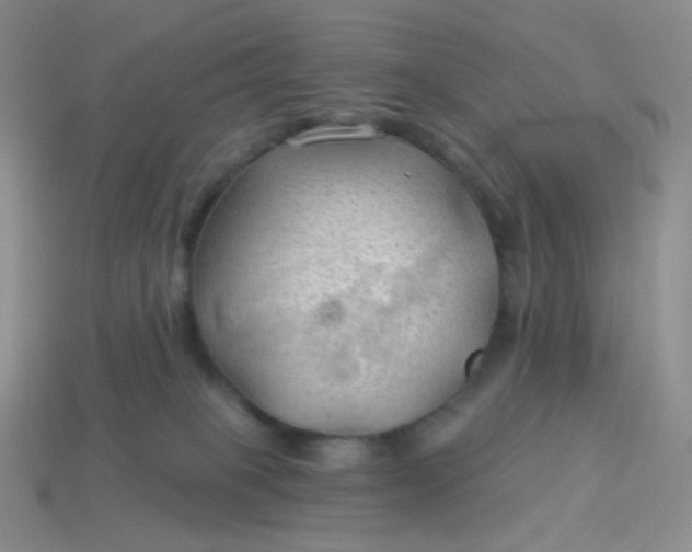 X0000114020085200910161807