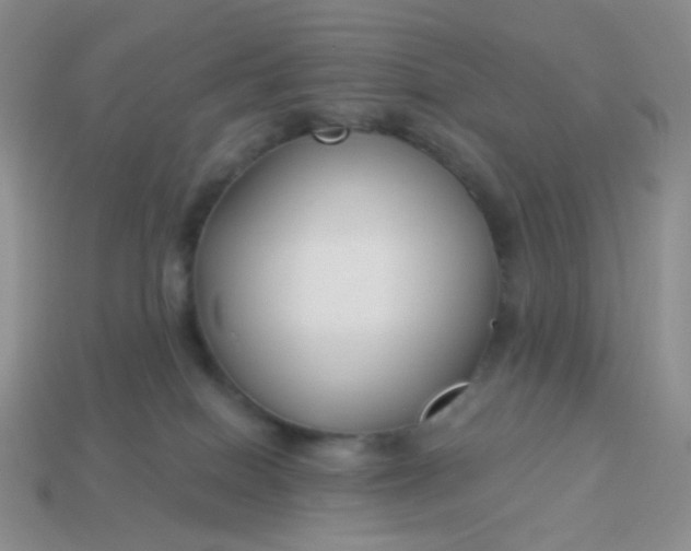 X0000114020086200910161807