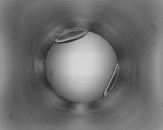 X0000114020088200910161807