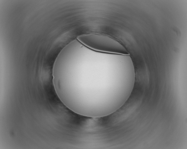 X0000114020092200910161807