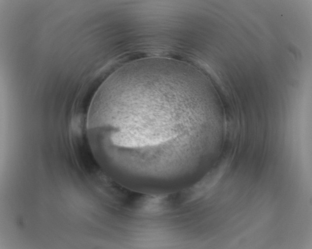 X0000114020093200910161807