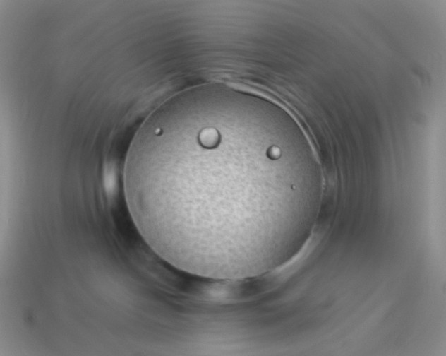 X0000114020094200910161807