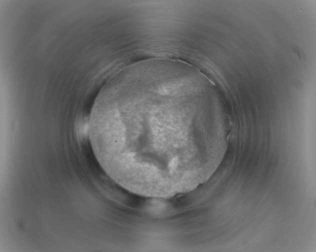 X0000114020095200910161807