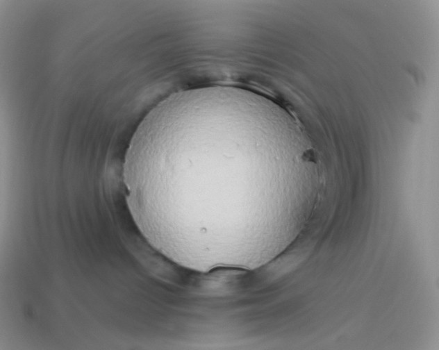 X0000114020096200910161807