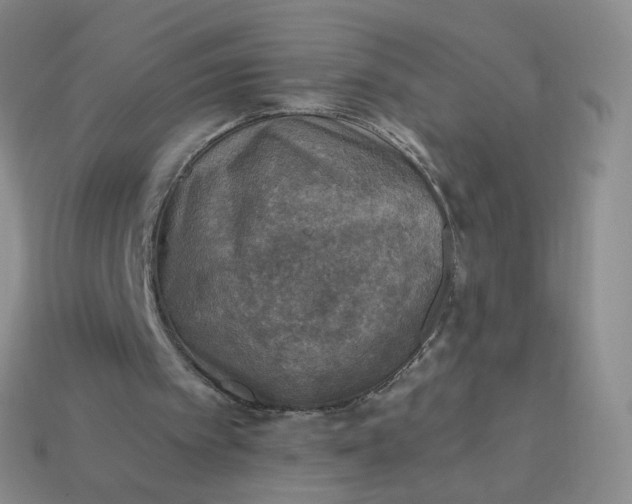 X0000114020097200910161806