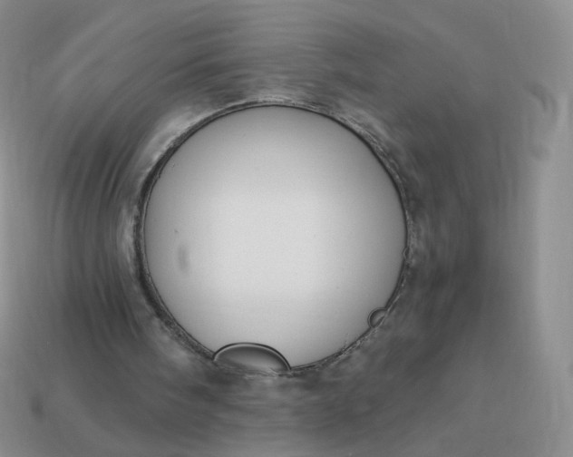 X0000114020098200910161806