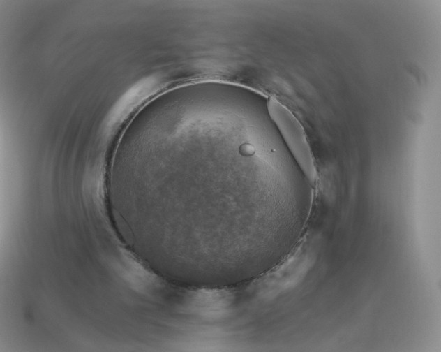 X0000114020101200910161806