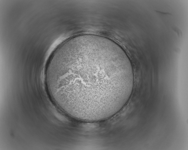 X0000114020102200910161806