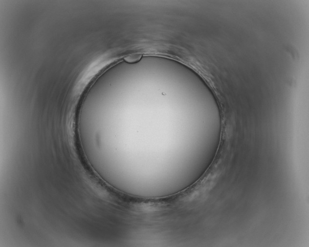 X0000114020103200910161806