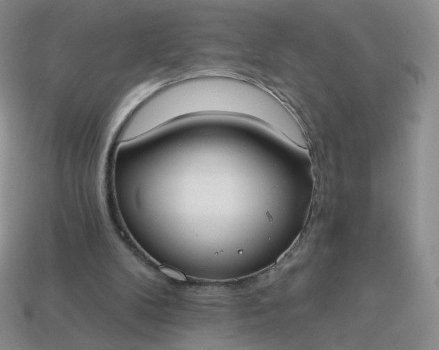 X0000114020104200910161806