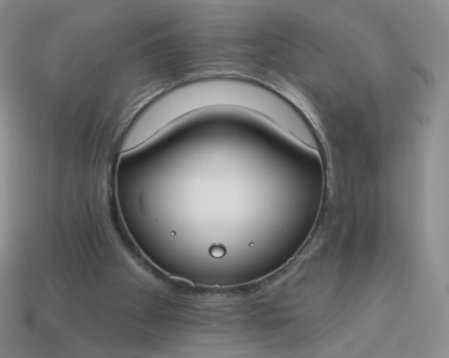 X0000114020105200910161806