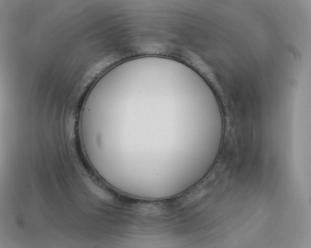 X0000114020106200910161806